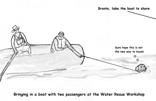 Brontepulling a boat